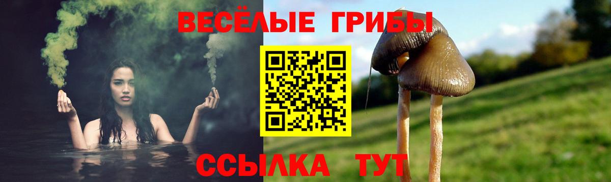 Псилоцибиновые грибы Psilocybine cubensis  Вход с VPN  Рославль 